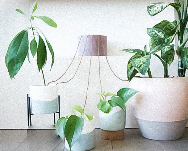 fios-rega-plantas