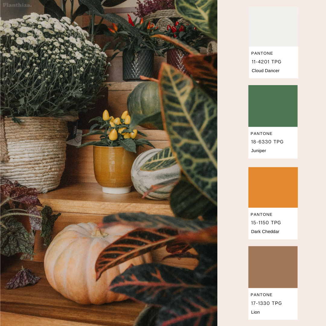 Pantone1