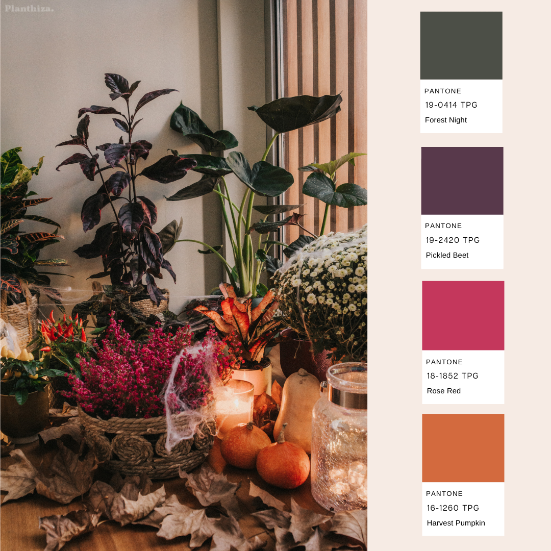 Pantone2