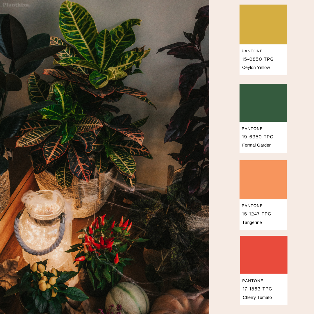 Pantone3