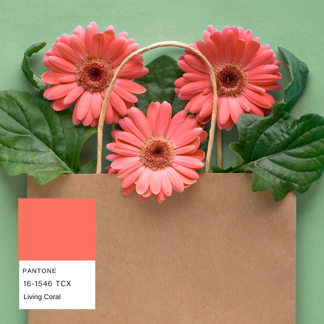 gerbera-planthiza-pantone-summer