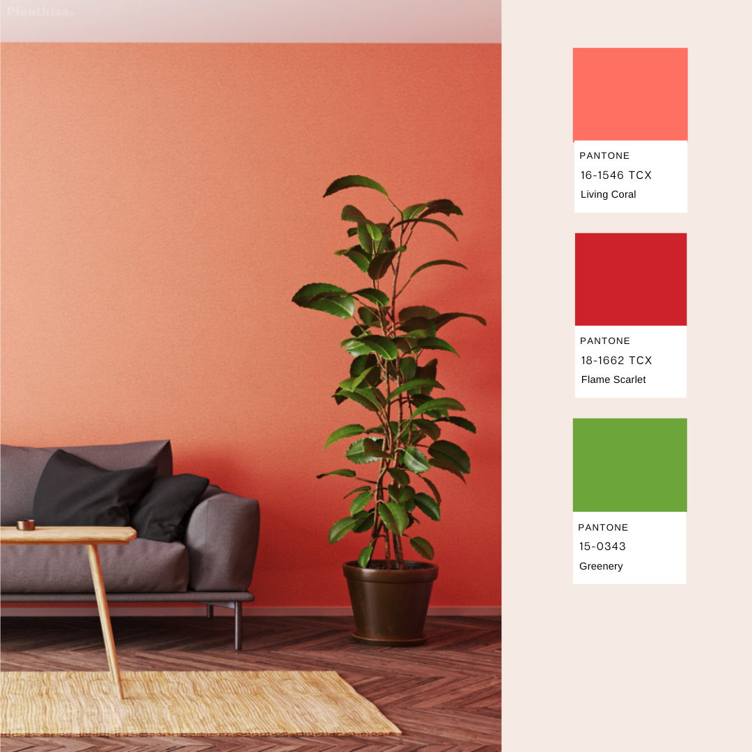 planthiza-summer-plant-pantone-2023-2