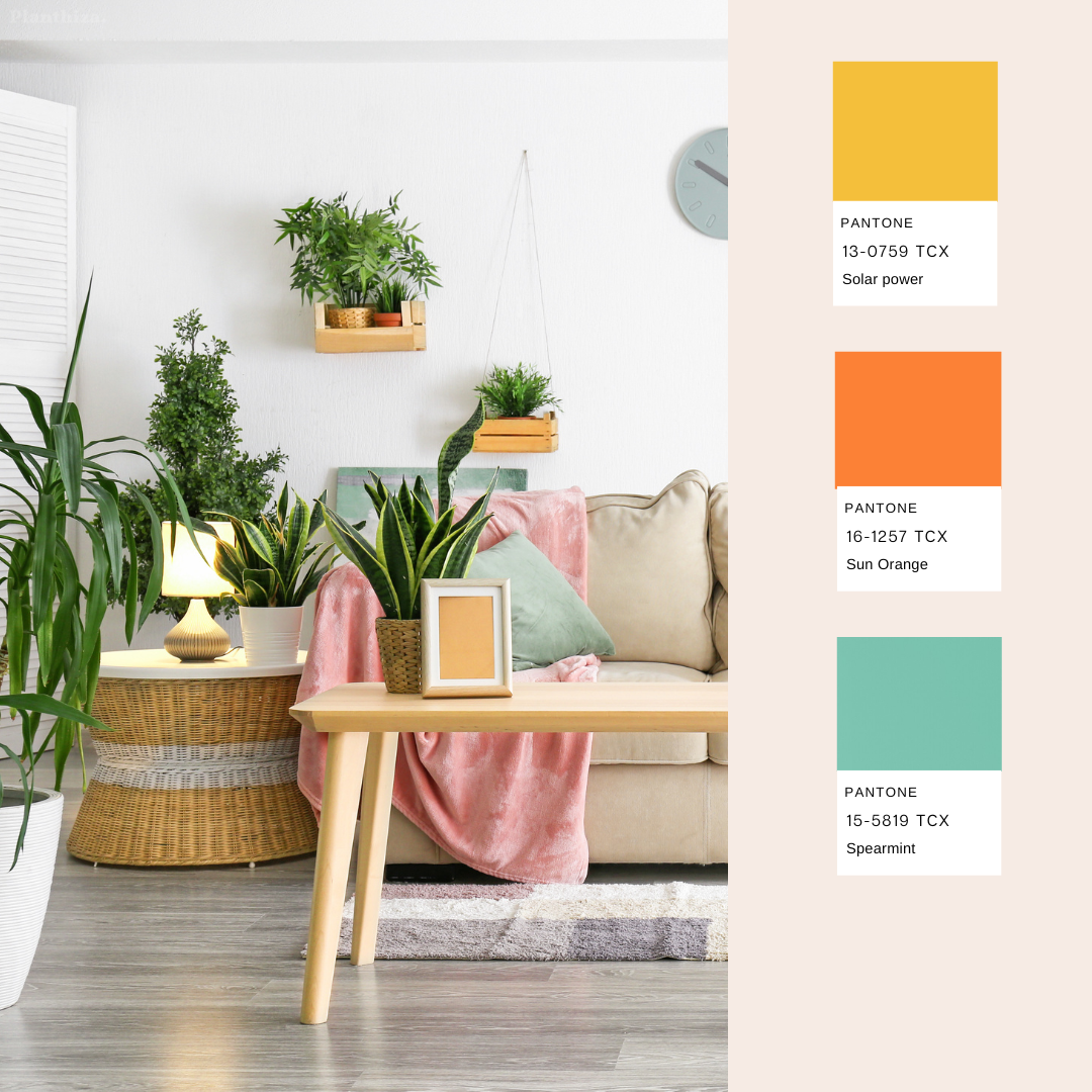 planthiza-summer-plant-pantone-2023-3