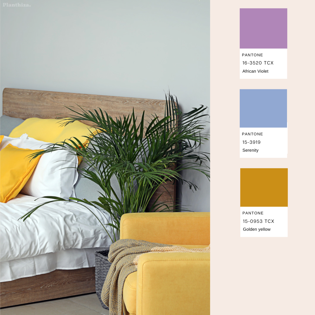 planthiza-summer-plant-pantone-2023-4