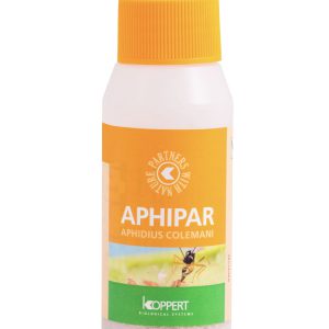 Aphipar