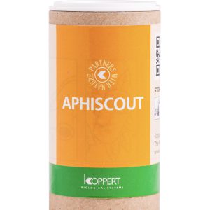 Aphiscout