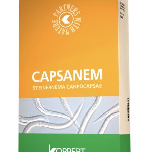 Capsanem