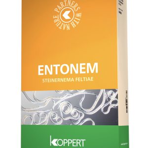 Entonem