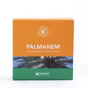Palmanem