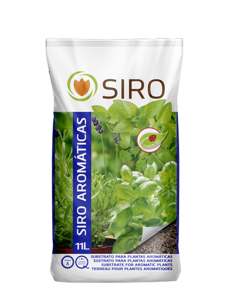 Substrato Aromáticas