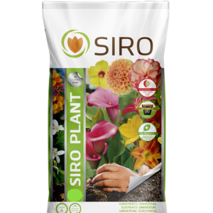 Siro Plant