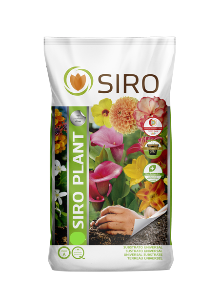 Siro Plant