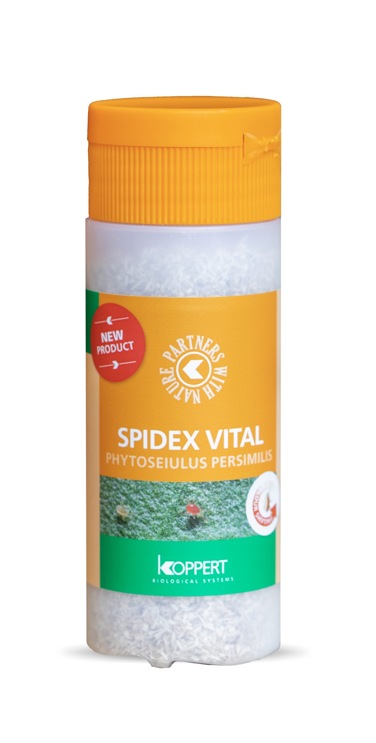 Phytoseiulus persimilis_Koppert BIological Systems-planthiza-spidex