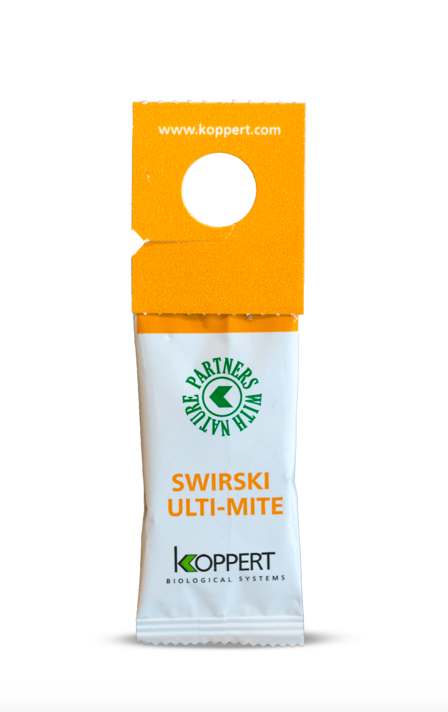 Swirski Ulti-Mite_Koppert BIological Systems-planthiza