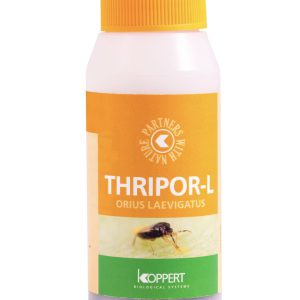 Thripor-L