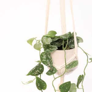 Hang on Linen