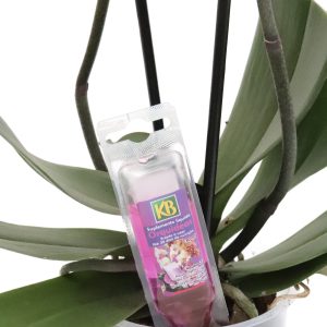 Suplemento monodose para Orquídeas KB
